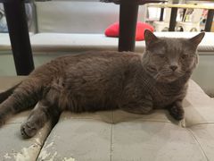 -小时光咖啡馆(开森度假森林店)