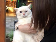 -谷咖啡·鲜花绿植花园餐厅