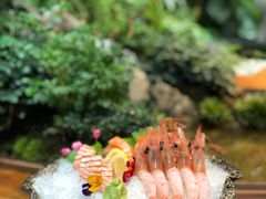 -森味薪火烧•烧鸟居酒屋•日本料理(望京店)