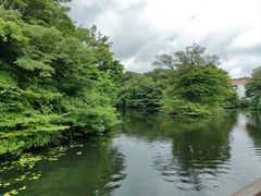 -济州森林小火车生态公园