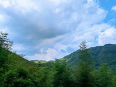 -四明山国家森林公园