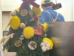 -introlemons(西单更新场·北京首店)