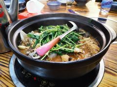 土鸡锅-九道菜有鸡鱼头(石鼓路店)