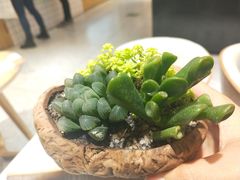 -罗莎蛋糕(建设路店)