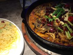 -老板恋上鱼(恒隆广场店)