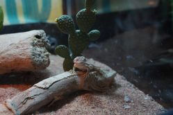 -酷嗒动物文化乐园(cutezoo西溪乐天城店)