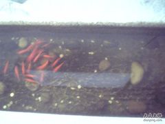 -松声马术俱乐部