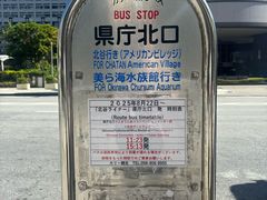 -美国村
