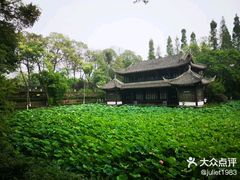 -桂湖森林公园