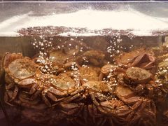 -蟹之国·精品蟹料理(极地店)