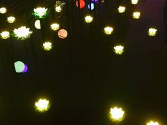 -锦江乐园舞狸花花游园会(夜场专享)