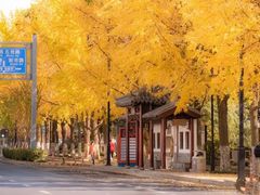 -彭记口口香(太仓万达广场店)