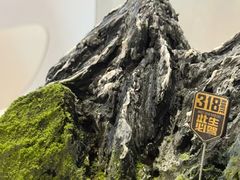 -慕可创意美学·定制CAKE·微景观蛋糕(总店)