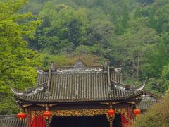 -凤栖山