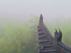-蔡伦竹海