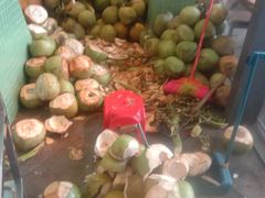 -南国锋味椰子鸡(瀚海店)