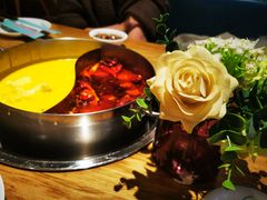 -青瓷火锅料理(西单大悦城店)