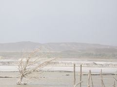 -盐湖景区