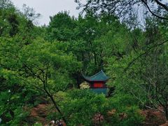 -岳麓山风景名胜区