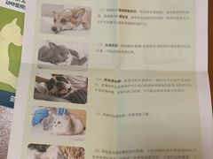 -美联众合爱康动物医院•复杂内科•肿瘤科•牙科•腔镜诊疗中心