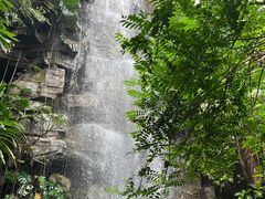 -昆明植物园