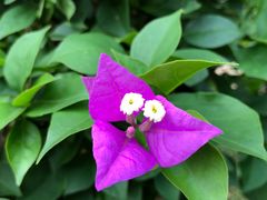 -白沙门生态公园