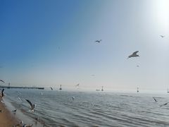 -南戴河旅游度假区