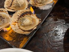 -鰓呼吸 石垣島 美崎町店