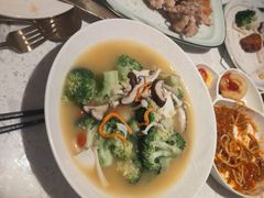 -Aqua Oasis 水天堂(太湖中心mall店)