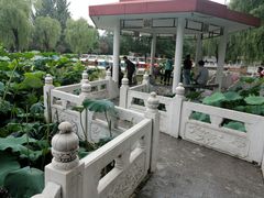 -丰台花园