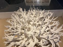 -天津自然博物馆