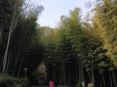 -穹窿山景区