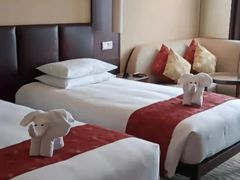 -京津新城温德姆至尊酒店(珠江大道店)