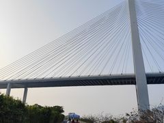 -芒洲湿地公园