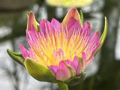 -国家植物园南园