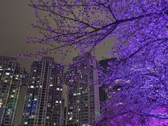 -西北湖绿化广场