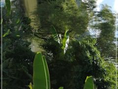 -贵阳市花溪国家城市湿地公园
