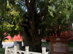 -北京市劳动人民文化宫(太庙)