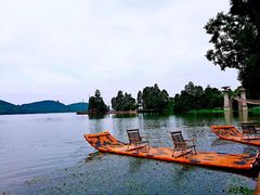 -东湖落雁景区