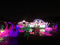 -映月湖公园