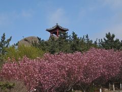 -石岛赤山风景区