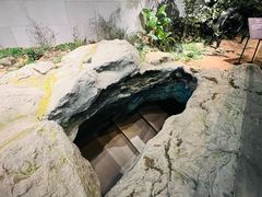 -北京周口店北京人遗址博物馆