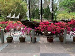 -深圳国际园林花卉博览园