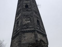 -上海佘山国家森林公园天马山园