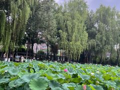 -四川大学(望江校区)