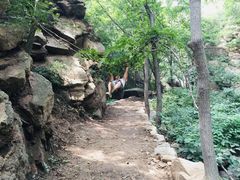 -大岭沟猕猴桃谷风景区