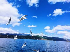 -丽江泸沽湖景区