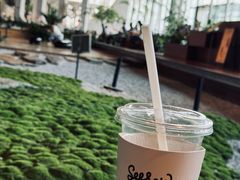 -Seesaw Coffee(朝阳大悦城店)