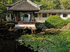-上海醉白池公园