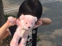 -成都泰迪熊博物馆